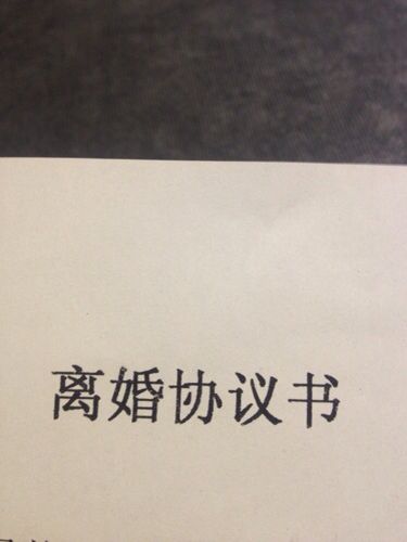 离婚协议书
