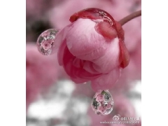 无话婚姻怎么办
