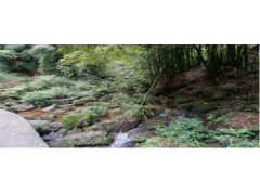 2014.4月家里家外江津大圆洞游记