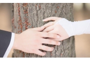 婚姻的基础究竟是什么？