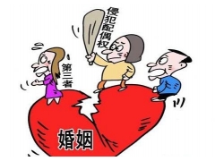 丈夫有了情人，我该怎么办处理？