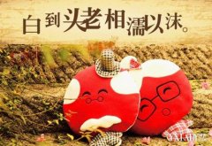 老公和小三有了孩子，我该怎么办？