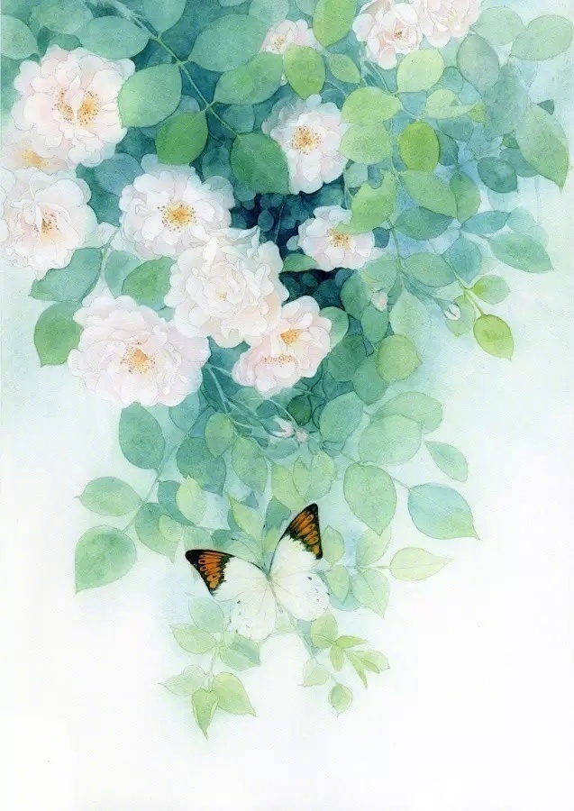 28425850_34211017.jpg