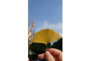 爱人出轨的时间里，你都在做什么？