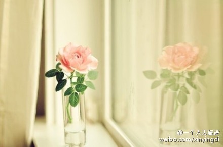 8813b12bgw1f28wbew4m1j20c8083aac.jpg