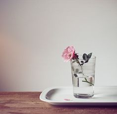 121102347232.jpg 844499d6gw1f3gsucfm9aj206k06emx1.jpg