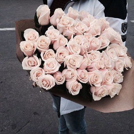 844499d6gw1etwd0p3begj20c80c8ab2.jpg