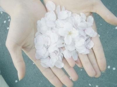 201048589201.jpg 闺蜜在性生活上比较排斥,该怎么办